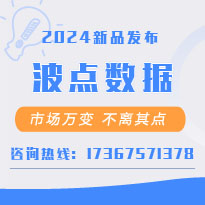 2024新品上市 波點數據